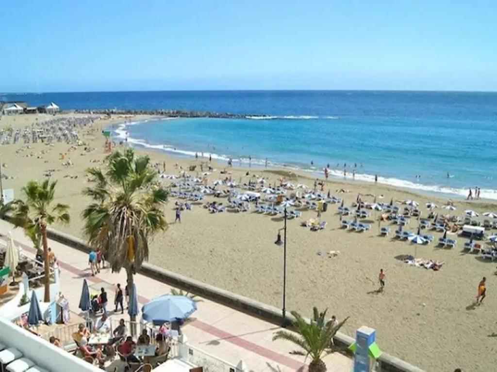 Jardin Canario Primera Linea De Playa Los Cristianos  Buitenkant foto